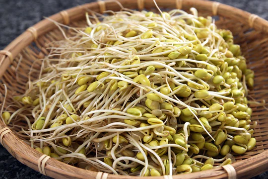 Соевые бобы, спелые проросшие Соевые бобы, спелые проросшие