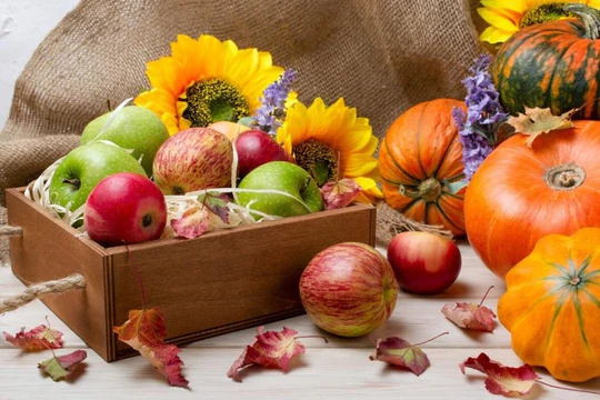 Какие продукты включить в осенний рацион: советы врача Какие продукты включить в осенний рацион: советы врача