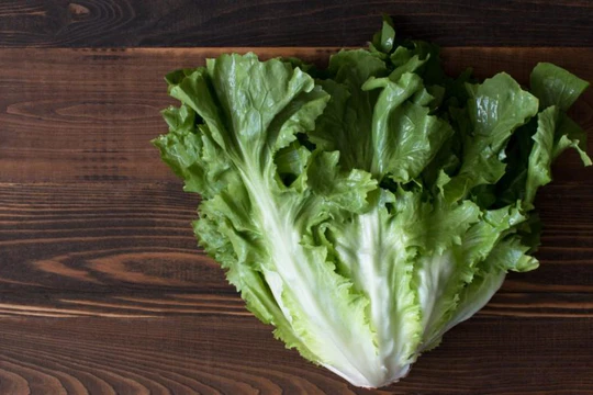 Салат эскариоль Салат эскариоль