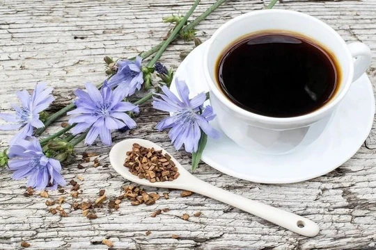 Россия экспортировала рекордные объемы цикория Россия экспортировала рекордные объемы цикория