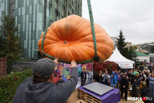 В Москве показали овощи-гиганты: почти тонная тыква и рекордный арбуз В Москве показали овощи-гиганты: почти тонная тыква и рекордный арбуз