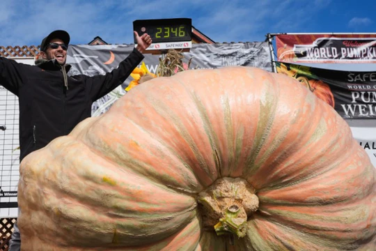 Житель США вырастил тыкву весом с автомобиль Житель США вырастил тыкву весом с автомобиль