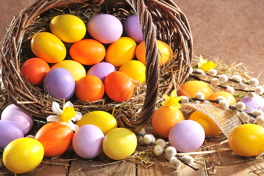 Как выбрать свежие и качественные яйца Как выбрать свежие и качественные яйца