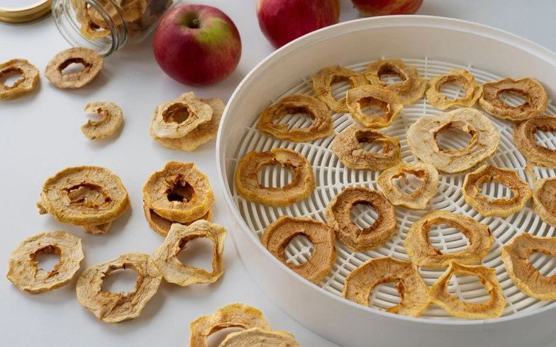 Как выбрать сушилку для овощей и фруктов