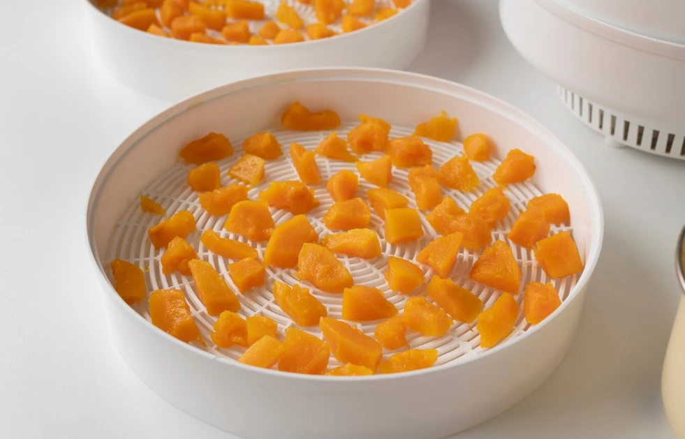Кусочки фруктов в отсеке сушилки / Источник: freepik.com